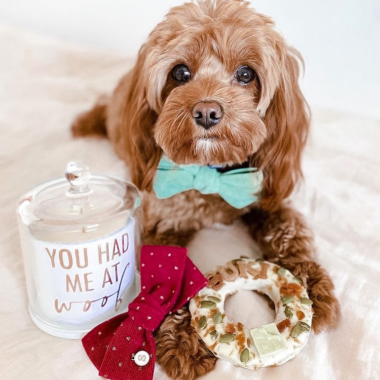 YOU HAD ME AT WOOF SOY CANDLE