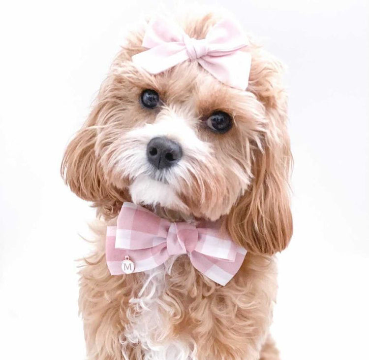 gingham dog bow pink